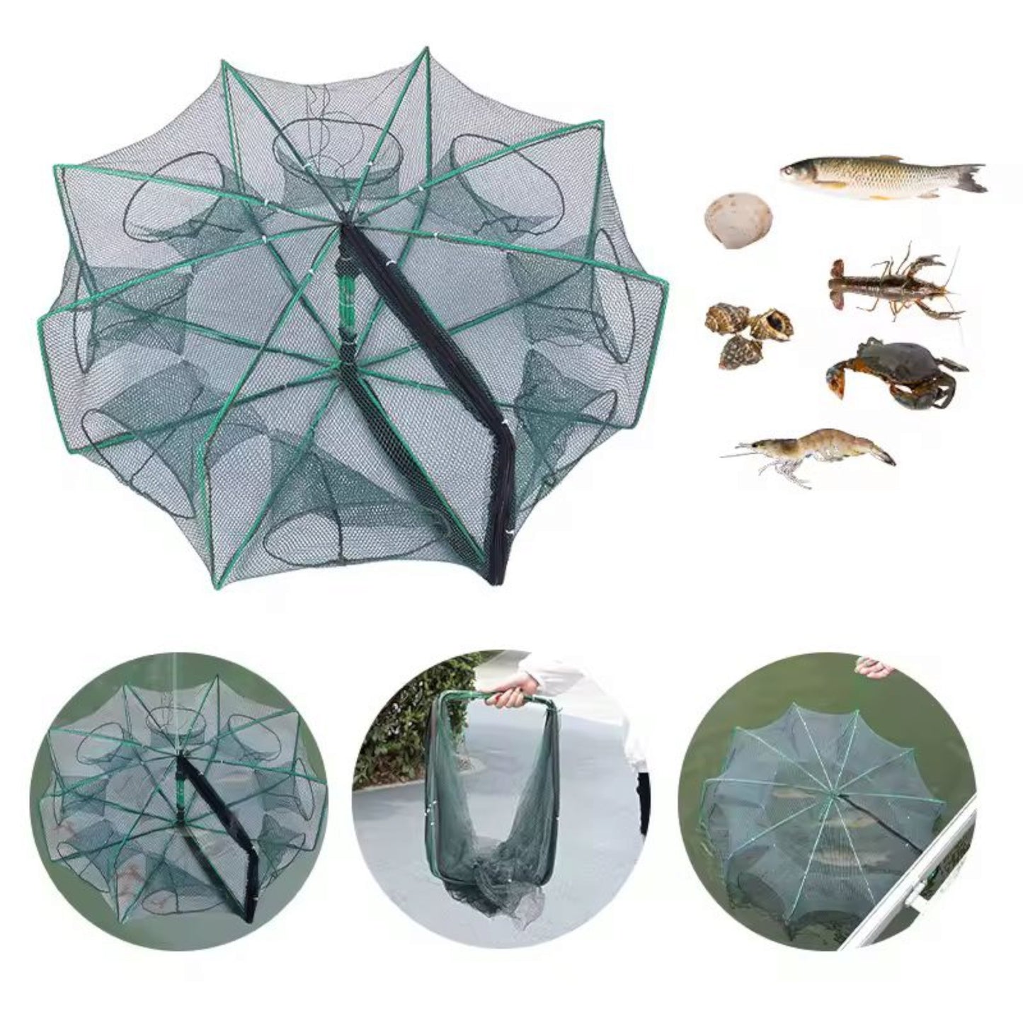 Collapsible umbrella-style fishing trap net with multiple entry holes designed for catching fish, shrimp, crabs, and shellfish. The image shows the net fully expanded with visible green frames and mesh material, alongside smaller images depicting the trap in use, folded for portability, and various aquatic animals that can be caught with it, including a fish, crab, shrimp, and shellfish