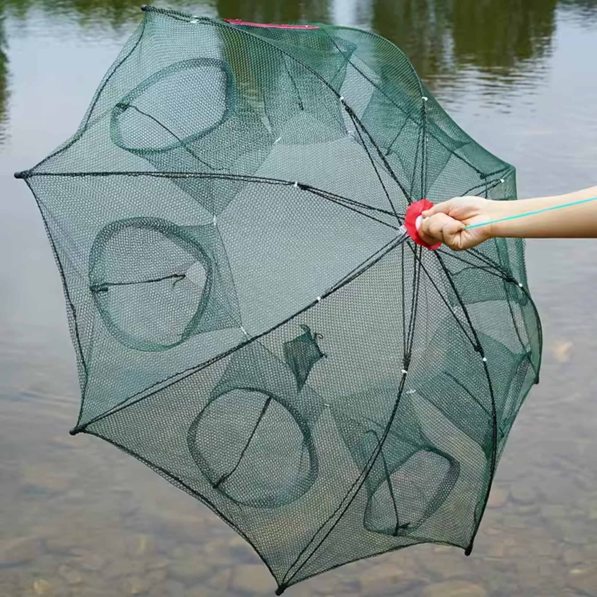 Automatic Pop-Up Crab Trap Fully Opened on Ground – Fiszon