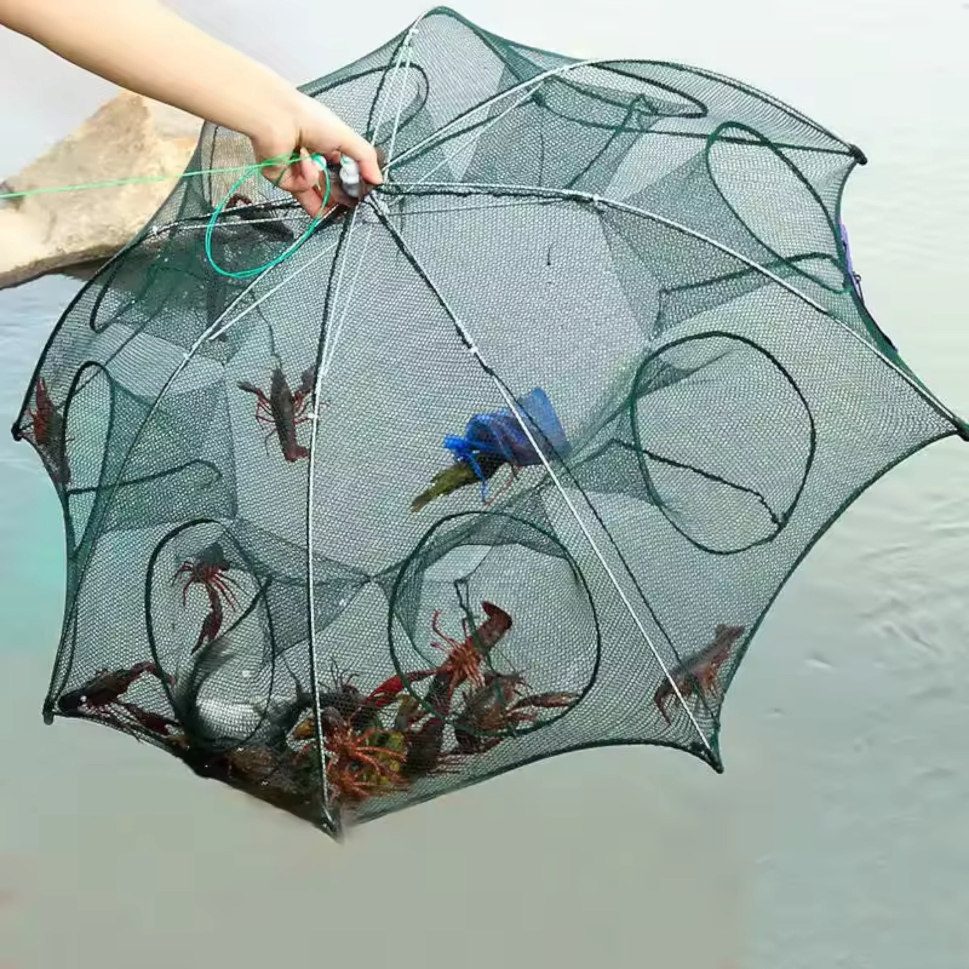 Fiszon Crab Trap Underwater Catch Demo – Perfect for Crabs & Shrimps