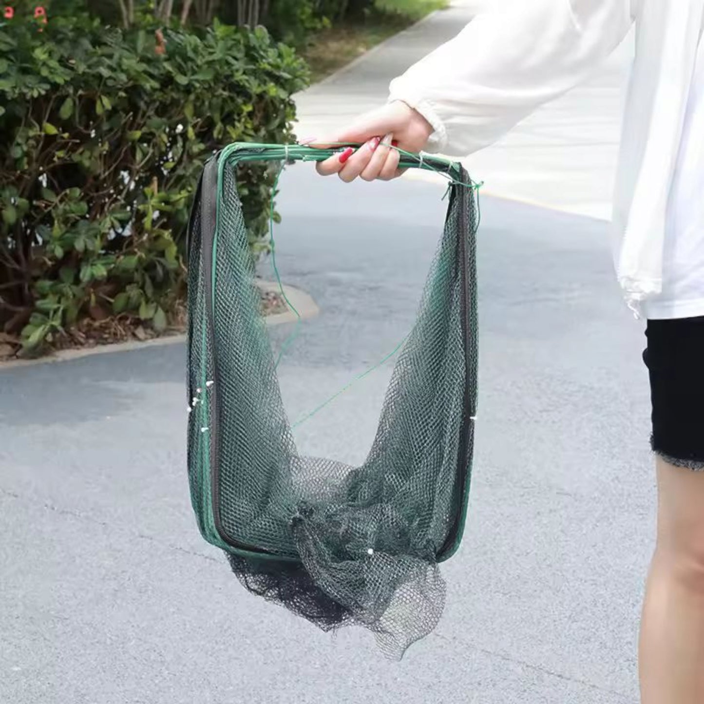 Display of aquatic animals including fish, crab, shrimp, lobster, and shellfish that can be caught using the trap net.