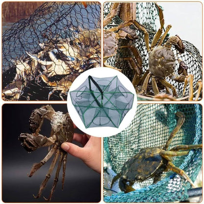 Different views of crabs trapped in green nylon fishing net showcasing efficiency of Fiszon 6-entry trap.