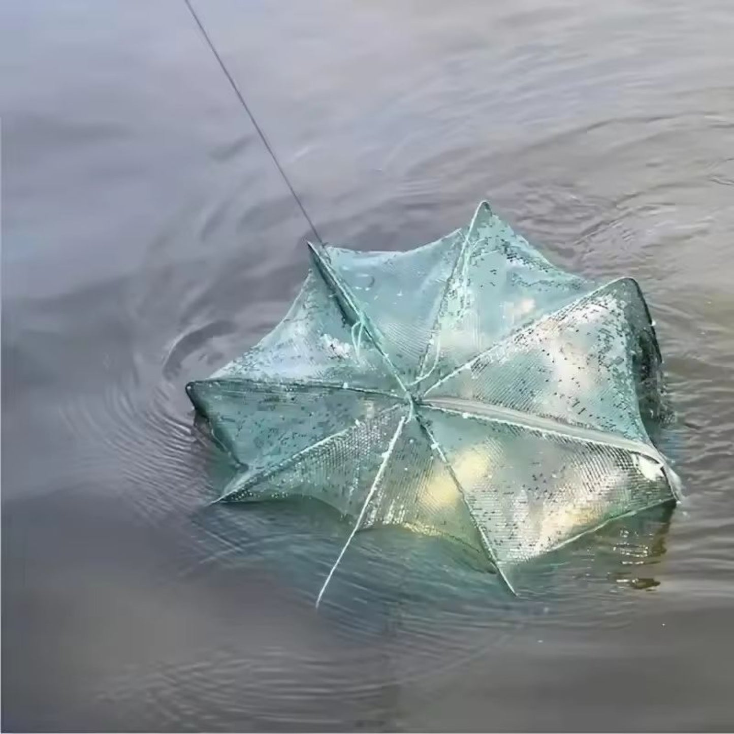 Automatic pop-up fish trap net floating in water showing durable nylon mesh and 360-degree entry design.