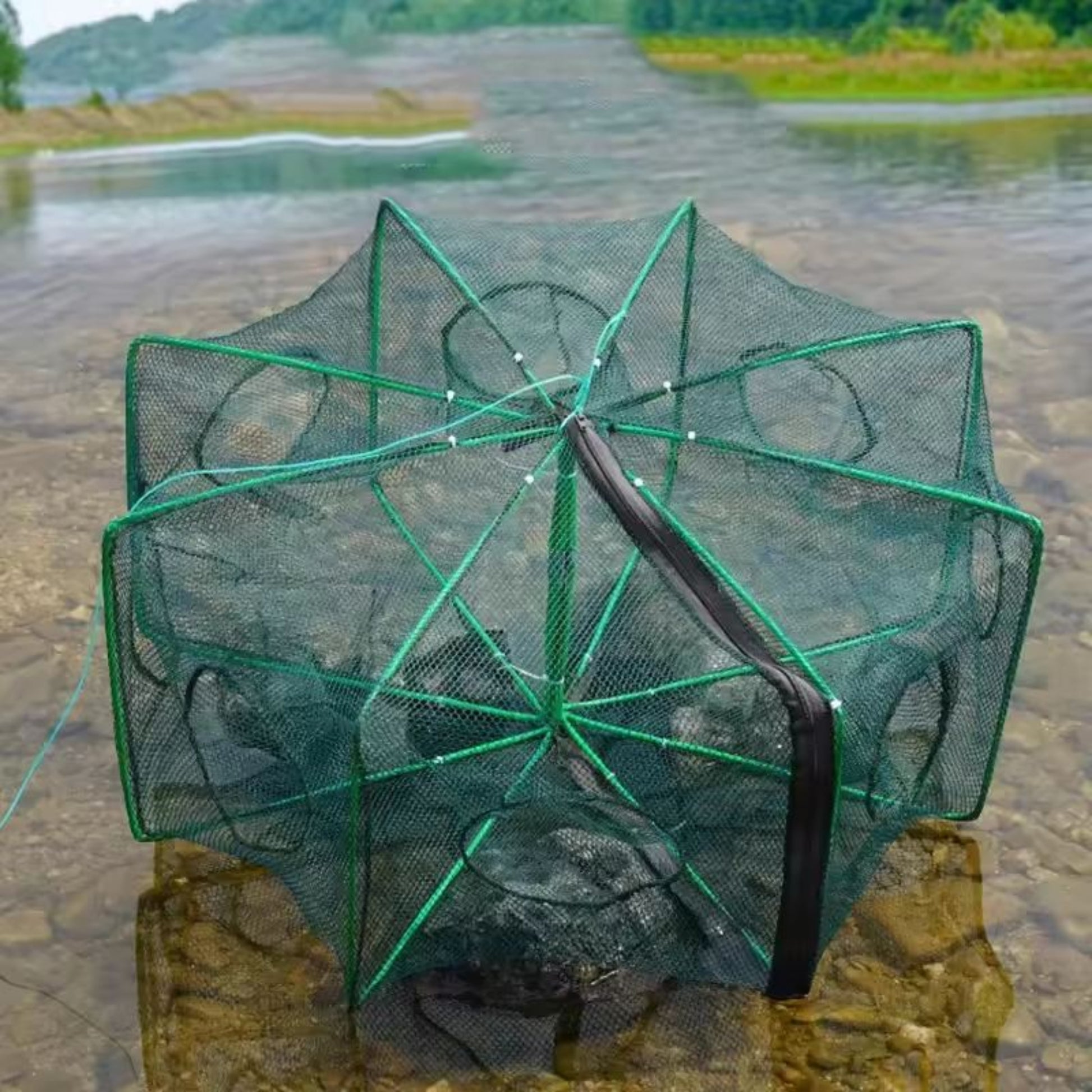 Foldable fishing trap net with 6 entry holes placed in shallow river for catching fish, crabs, and shrimps.