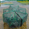 Fiszon Foldable Fish Trap Net 6 Entry Points | Automatic Pop-Up Fishing Cage for Crab, Prawn, Lobster & Small Fish | Durable Nylon Mesh with Zipper Access