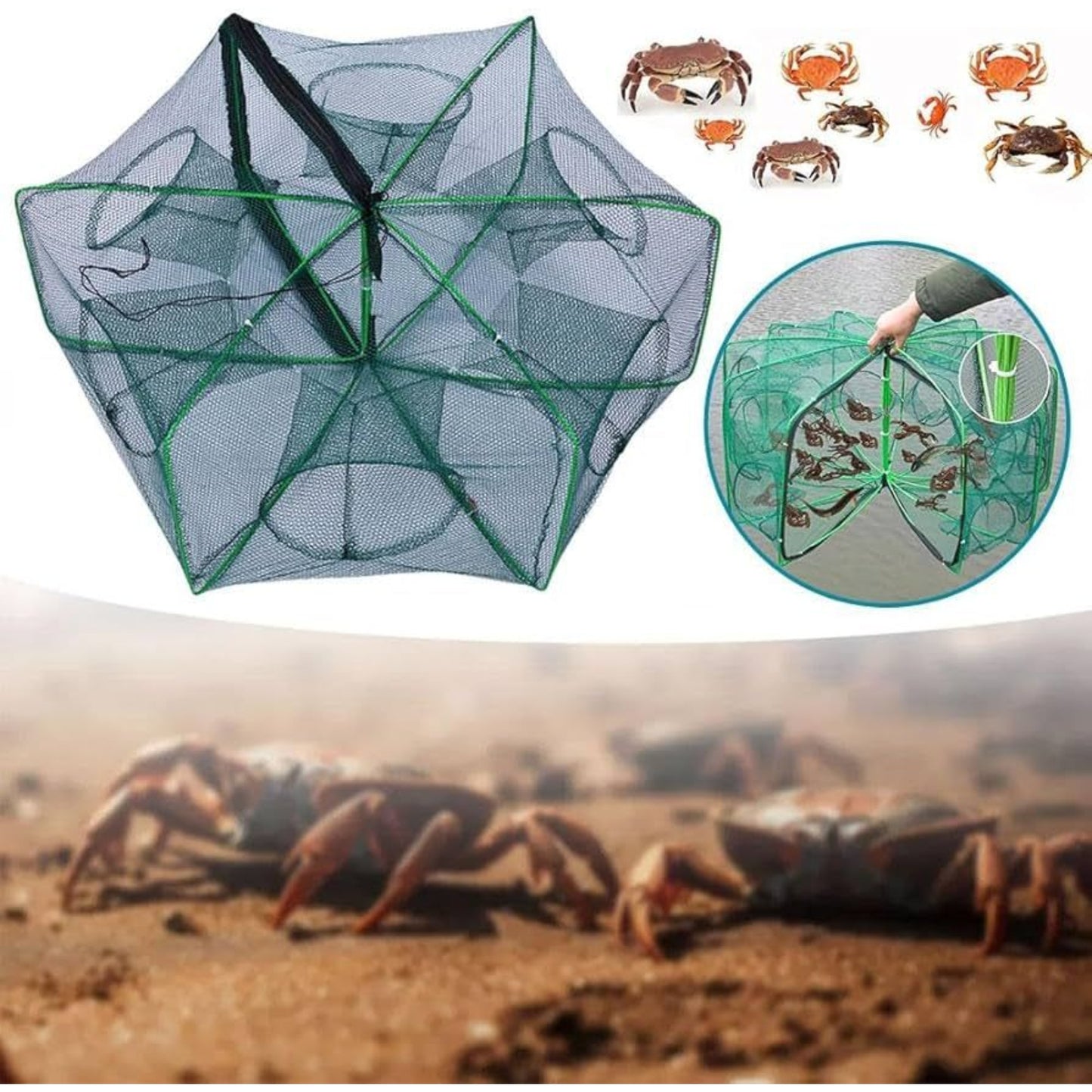 Foldable crab trap net showing multiple crabs inside and circular entry design for high catch rate.