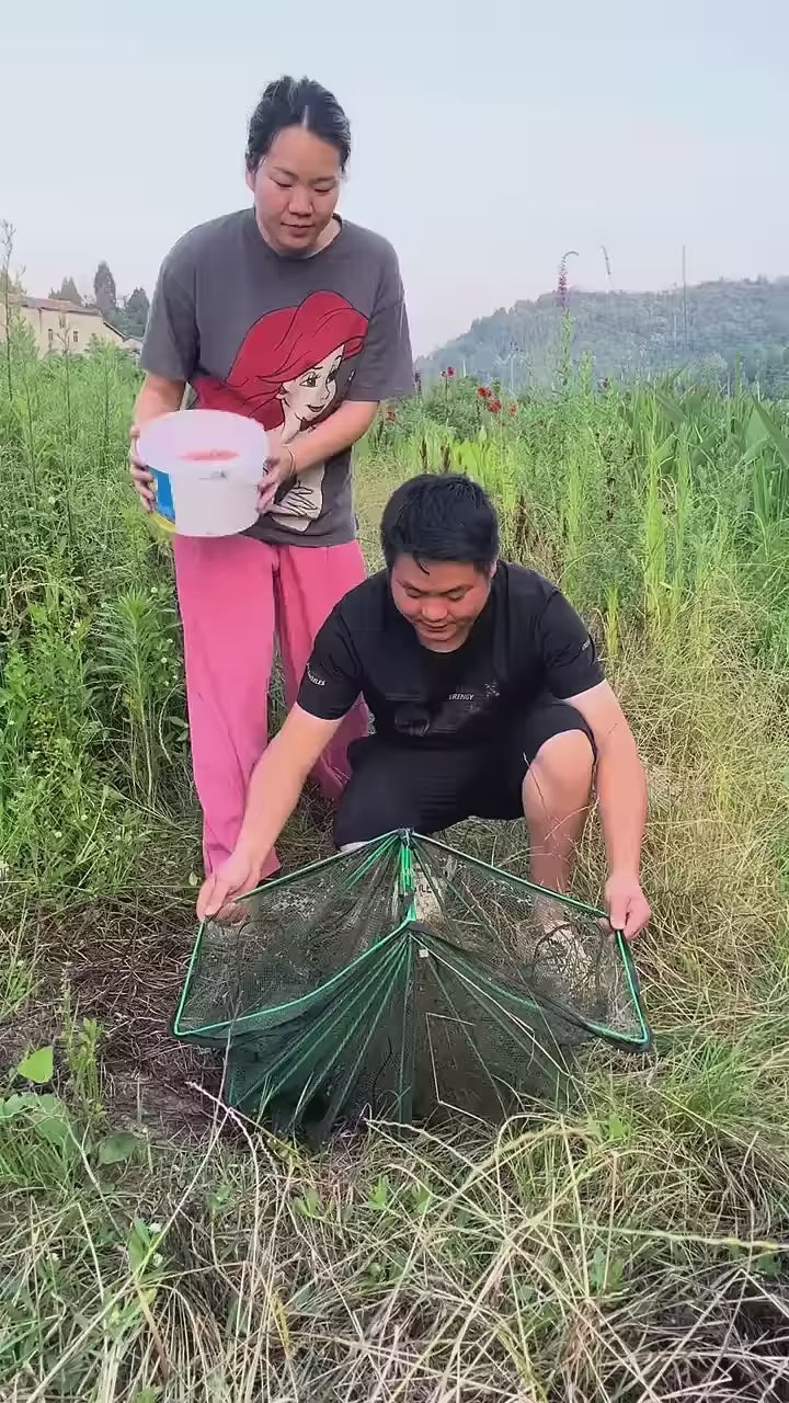 fiszon foldable fish trap net demonstration showing setup in river, folding design, and live catch of fish and prawns